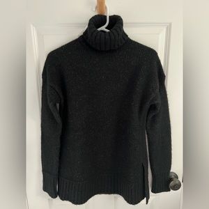 Everlane Cloud Turtleneck